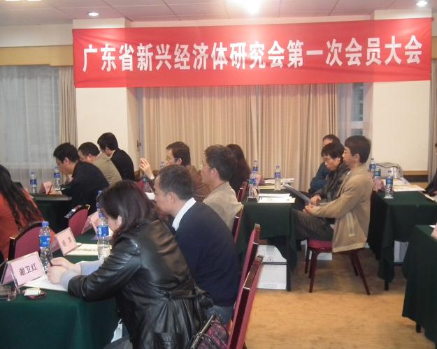 广东省新兴经济体研究会第一次会员大会会场0.JPG